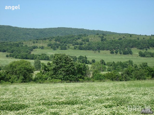 Парцели Отманли - 643м2, снимка 3 - Парцели - 43598123