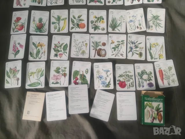 Продавам Тесте карти Растения ГДР, снимка 4 - Карти за игра - 47393625