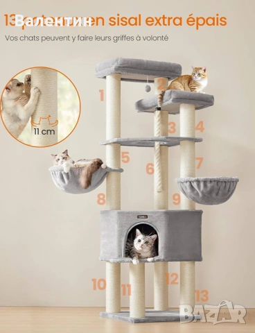 Голямо котешко дърво Мейн Куун , снимка 5 - За котки - 53222408