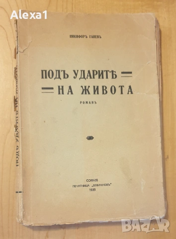" Подъ ударить на живота "