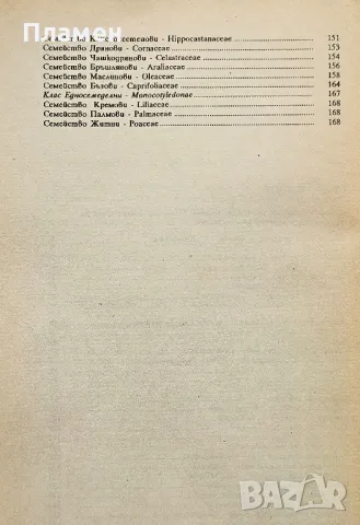 Ботаника с дендрология. Част 2: Дендрология , снимка 4 - Учебници, учебни тетрадки - 50347965