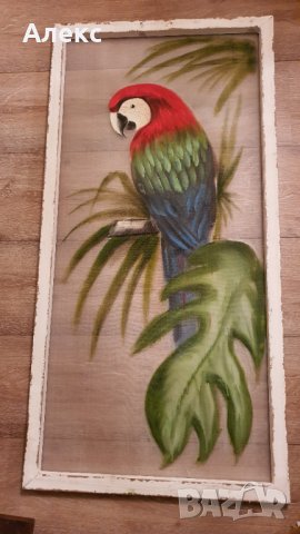 Голяма картина папагал, масло, дървена състарена рамка– 120см/ 60см, снимка 2 - Картини - 38505051