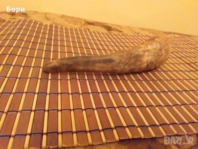 Рог от бик, снимка 3 - Други ценни предмети - 28989553