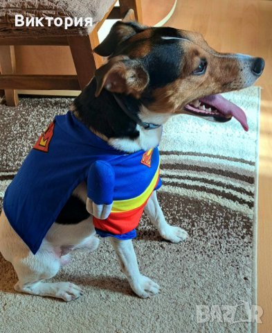 Весели дрешки за кучета- супергерои Superman/ Bathman /Wonder woman, снимка 17 - За кучета - 40685243