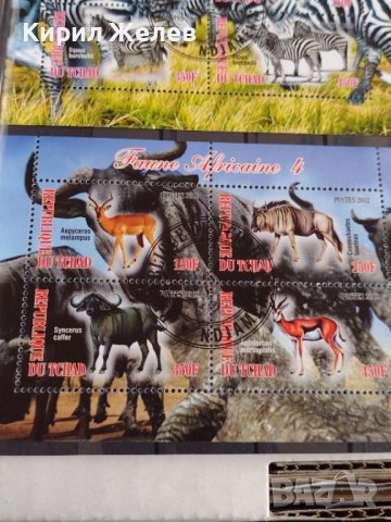 Пощенски марки  чиста комплектна серия ЖИВОТНИ поща Република Чад за колекция 29538, снимка 9 - Филателия - 37780459