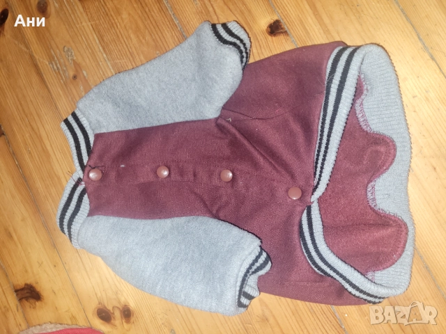 Кучешки якета-S размер, снимка 3 - За кучета - 51659976