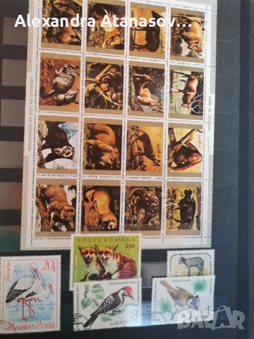 Класьори с пощенски марки, снимка 15 - Филателия - 51156532