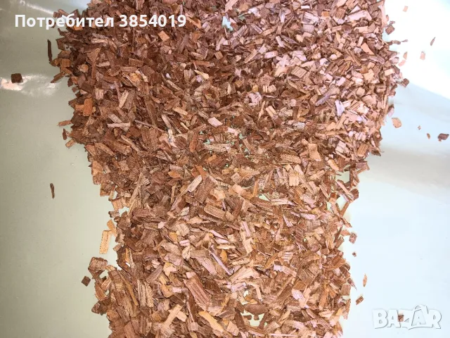 дъбови трици