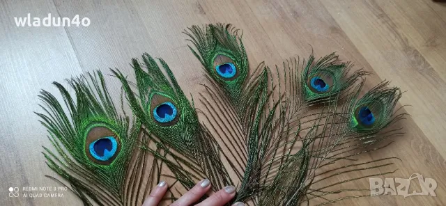 	Паунови пера-2,50лв, снимка 9 - Декорация за дома - 50191512