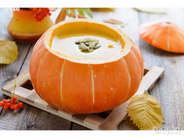 НОВИ! Комплект за карвинг на тикви, дини и други плодове с 4 бр. шаблони за фенери, снимка 12 - Прибори за хранене, готвене и сервиране - 43132307