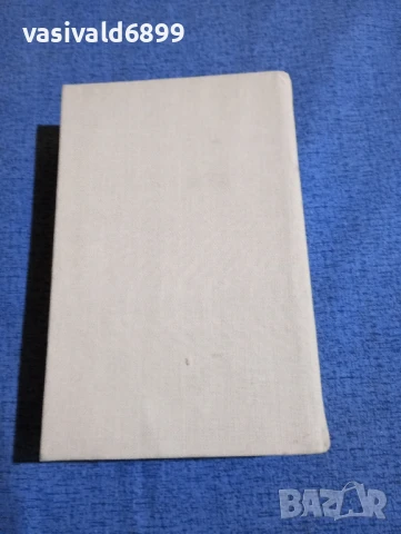 Джойс Каръл Оутс - Белфльор , снимка 3 - Художествена литература - 50989886