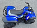 атв Aeon Cobra 180 atv, снимка 12