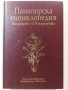 Панагюрска енциклопедия / Encyclopedia of Panagyurishte, снимка 1 - Енциклопедии, справочници - 32383121