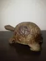Много красива фигурка на костенурка от дърво. , снимка 3