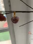 Колие от аметист “Heart”, снимка 2