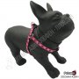 Нагръдник за Куче - XS, S, M, L - 4 размера - Dog Harness A Romb Pink - Pet Interest