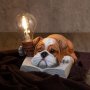 Светеща декорация Куче - от полирезин, снимка 1 - Настолни лампи - 38137548