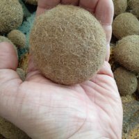 естествени натурални топки от сухи водорасли, изхвърлени от Средиземно море край бреговете на Тунис, снимка 1 - Декорация за дома - 42958295