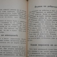 Земеделски народен календар за 1929г., снимка 15 - Други ценни предмети - 35030691