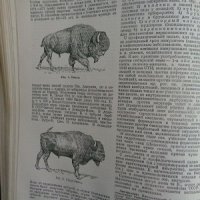 Сельскохозяйственная энциклопедия. Том 1, снимка 4 - Енциклопедии, справочници - 32560944
