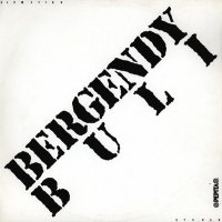 Грамофонни плочи - Bergendy Buli