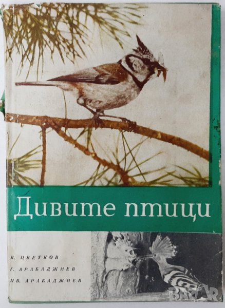 Дивите птици. В. Цветков, Г. Арабаджиев, И. Арабаджиев, снимка 1