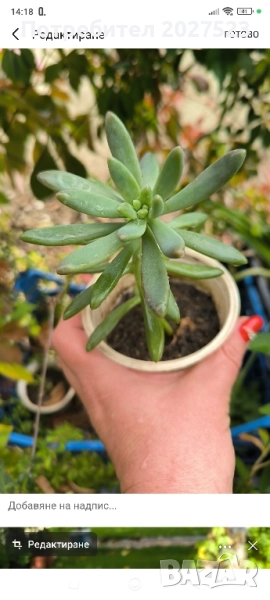 Всичко по 4лв, снимка 1