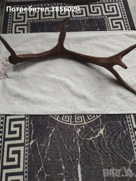 Еленски рог, снимка 1