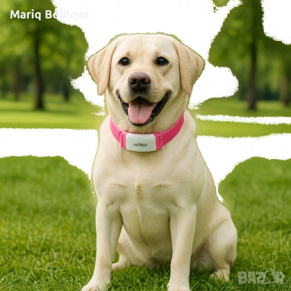 Тракер за домашен любимец - GPS локатор, снимка 1