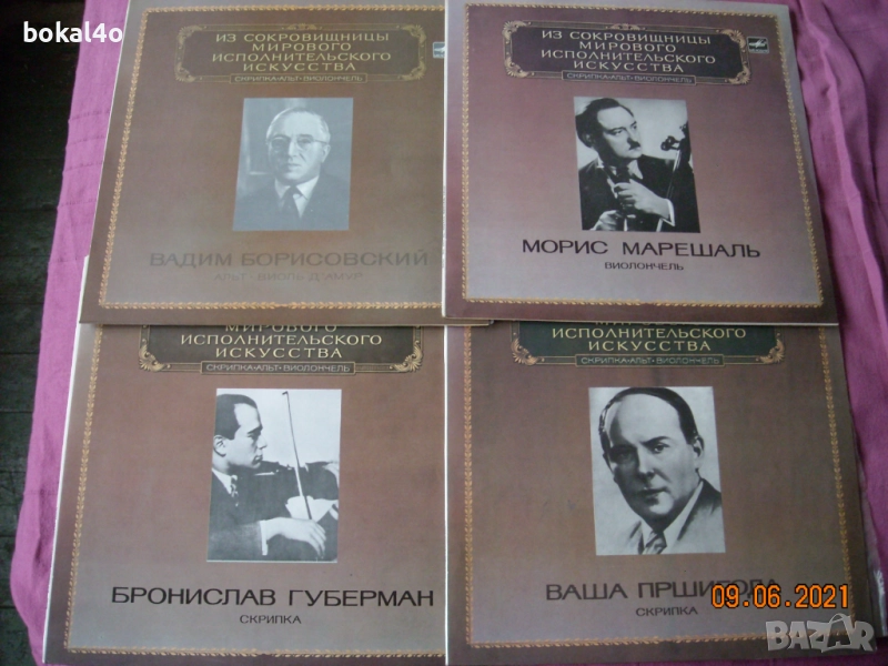 Велики цигулари, снимка 1