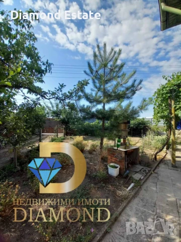 Едноетажна къща в село Калугерово, общ. Симеоновград, снимка 10 - Къщи - 51037361