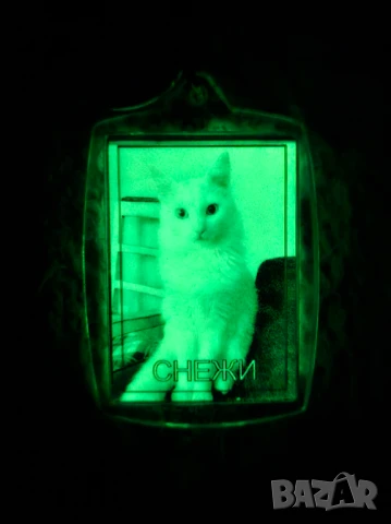 Светещ ключодържател снимка, кола, номер, снимка 6 - Други - 50688724