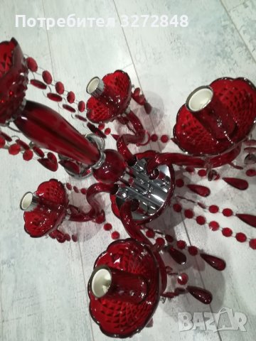 Полилей /червен , снимка 6 - Полилеи - 43117438