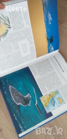 Невероятно богата луксозна енциклопедия , снимка 2 - Енциклопедии, справочници - 35645264