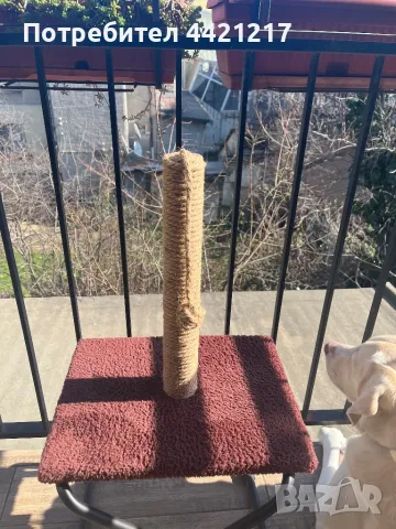 Драскалки за котки , снимка 6 - За котки - 49580964