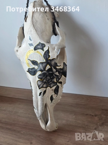 Конски череп за декорация - ръчно рисуван, снимка 11 - Декорация за дома - 51777796