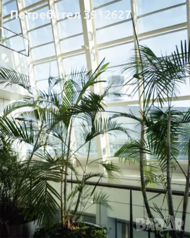 Чисто нов!  Лентов Фотоапарт Skina Zoom 60 Wide, снимка 18 - Фотоапарати - 48860485