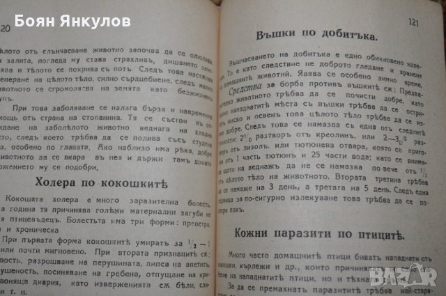 Земеделски народен календар за 1929г., снимка 15 - Други ценни предмети - 35030691