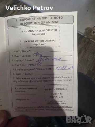 Симба си търси нов дом. , снимка 8 - Други - 52676998