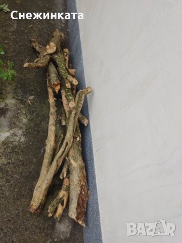 Продавам чемшир- дървен материал (50-150лв/брой), снимка 9 - Други - 34714075