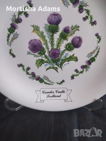 Сувенирна чиния "Магарешки бодил", снимка 2 - Колекции - 52274790