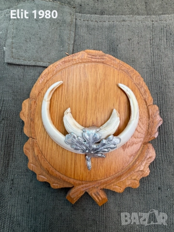 продавам ловни трофей , снимка 9 - Оборудване и аксесоари за оръжия - 52667932