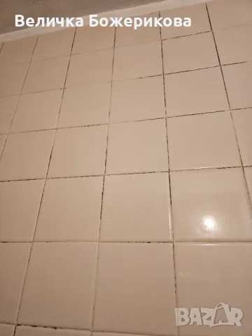 Почистване на домове , снимка 3 - Почистване на домове - 48887963