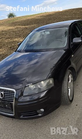 ПРОМОЦИЯ.Ауди А3 S-line със Рекаро седалки със Кожа и Алкантара 1.6 куб 2008год, снимка 4 - Автомобили и джипове - 51624950