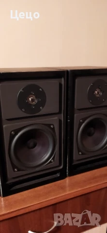 Тонколони ASW CANTIUS ML2, снимка 10 - Тонколони - 51000084