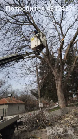 Услуги с автовишка , снимка 5 - Индустриална техника - 48128050