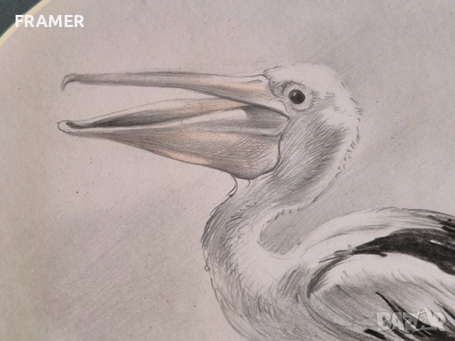 Румен Статков Уникален етюд на Пеликан 1999 година, снимка 4 - Картини - 52637691