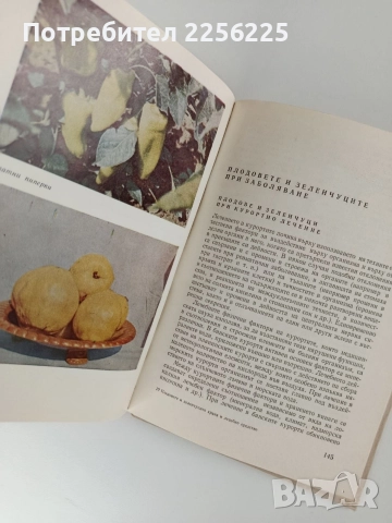 Плодовете и зеленчуците - Храна и лечебно средство, снимка 9 - Специализирана литература - 52748590