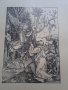Литография Албрехт Дюрер в рамки с воден знак, снимка 1