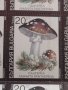 Лот Пощенски марки ГЪБИ ПАНТЕРКА чисти без печат поща България редки за КОЛЕКЦИЯ 33114, снимка 3